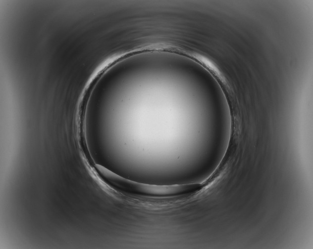 X0000085211046200703091135