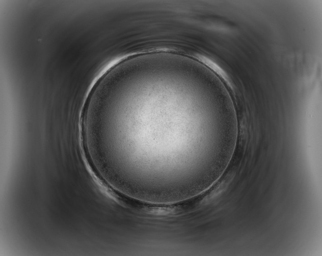 X0000085211047200703091135