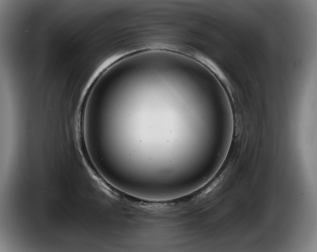 X0000085211048200703091135