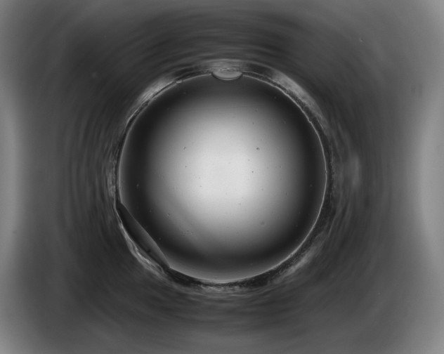 X0000085211049200703091135