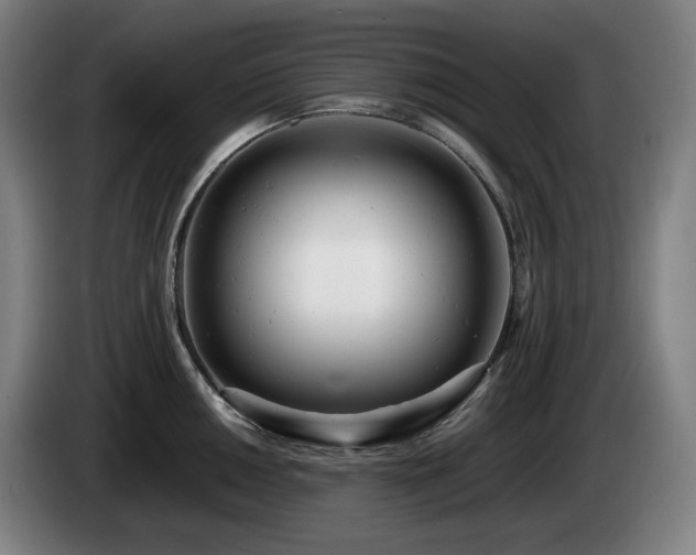 X0000085211050200703091135