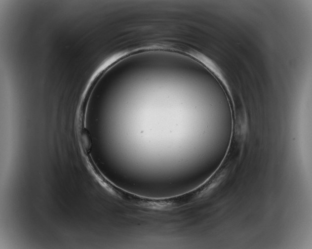 X0000085211053200703091135