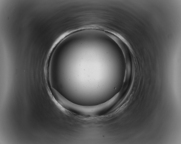 X0000085211054200703091135