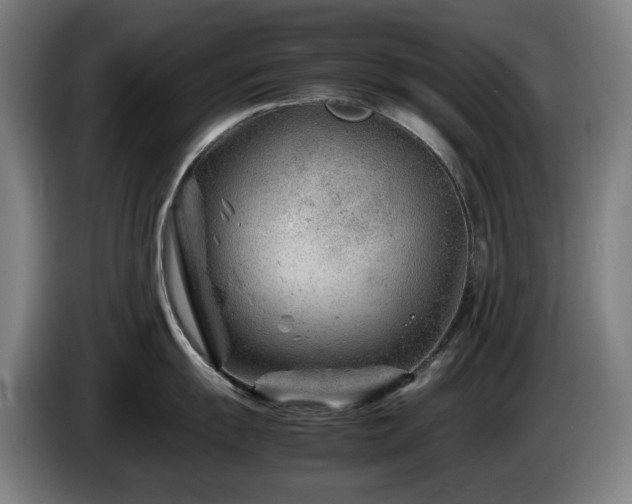 X0000085211055200703091135