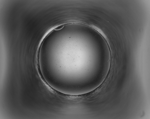 X0000085211056200703091135