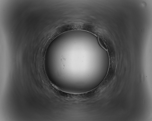 X0000085211057200703091134