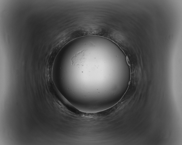 X0000085211058200703091134