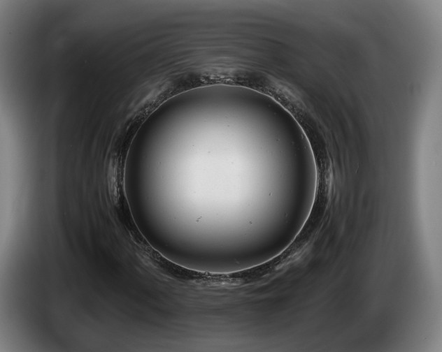 X0000085211060200703091134