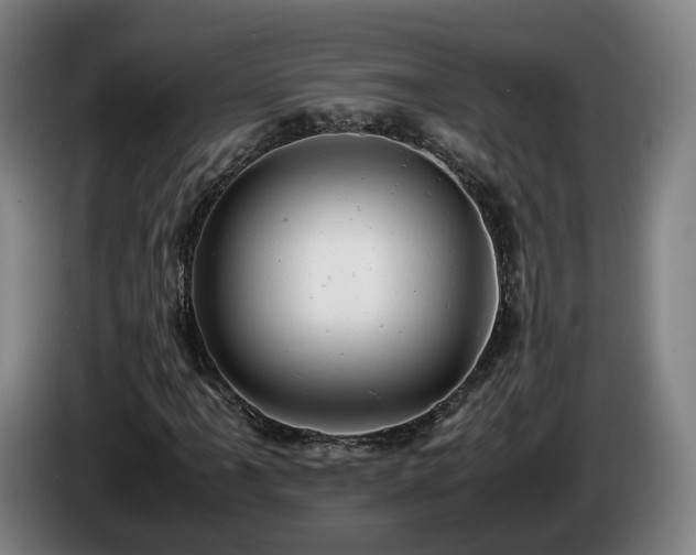 X0000085211061200703091134