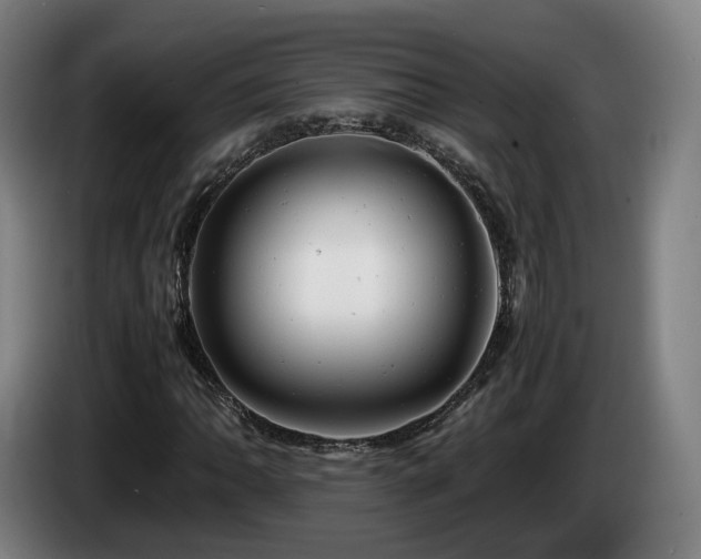 X0000085211062200703091134