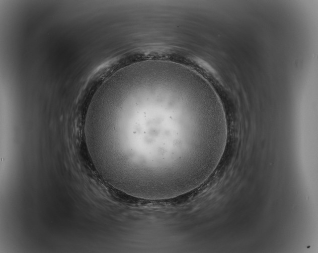 X0000085211063200703091134