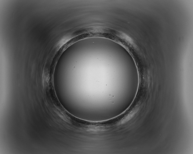 X0000085211065200703091134