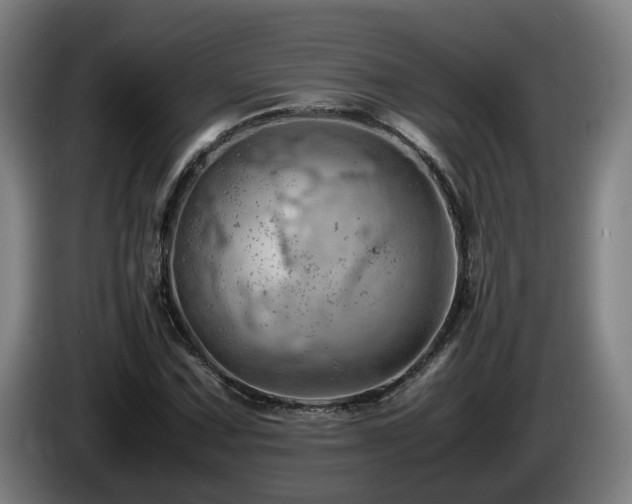 X0000085211067200703091134