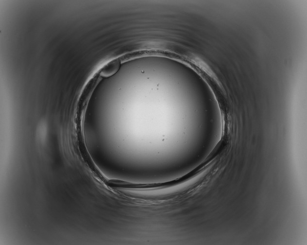 X0000085211068200703091134