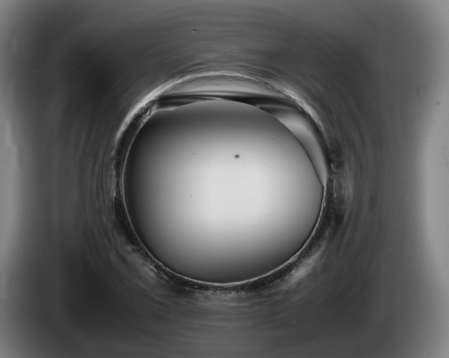 X0000085211069200703091134