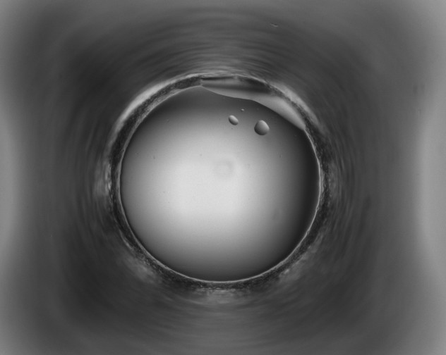 X0000085211070200703091134