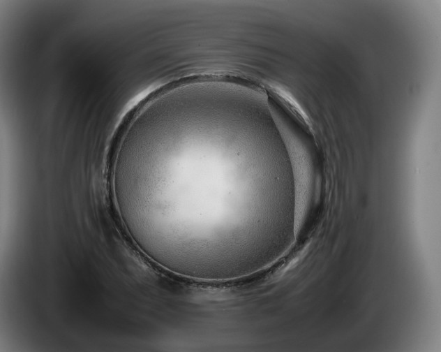 X0000085211071200703091134