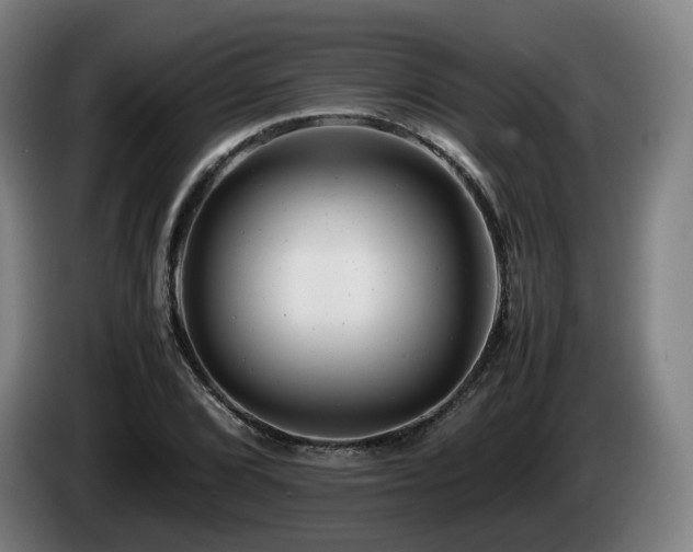 X0000085211072200703091134