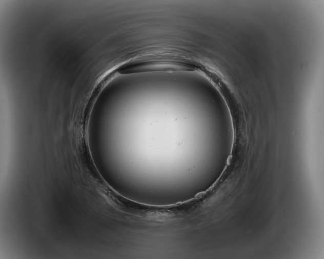 X0000085211073200703091134