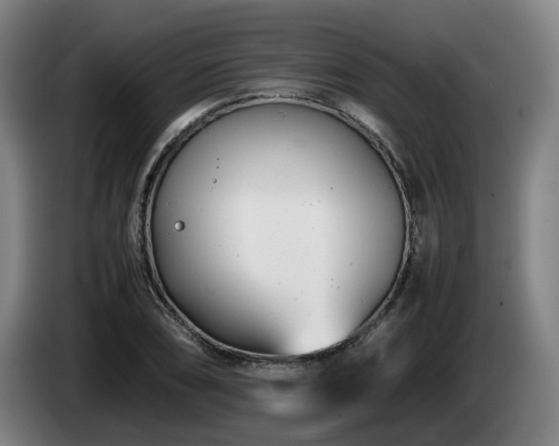 X0000085211074200703091134