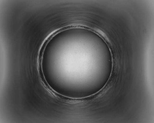 X0000085211076200703091134