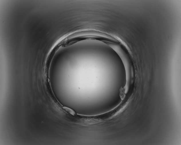 X0000085211077200703091134