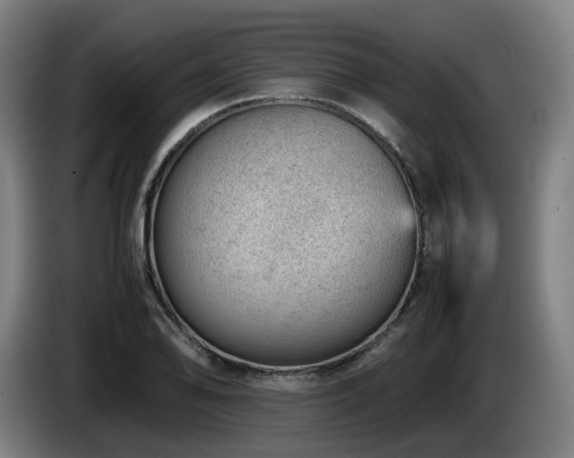 X0000085211078200703091134