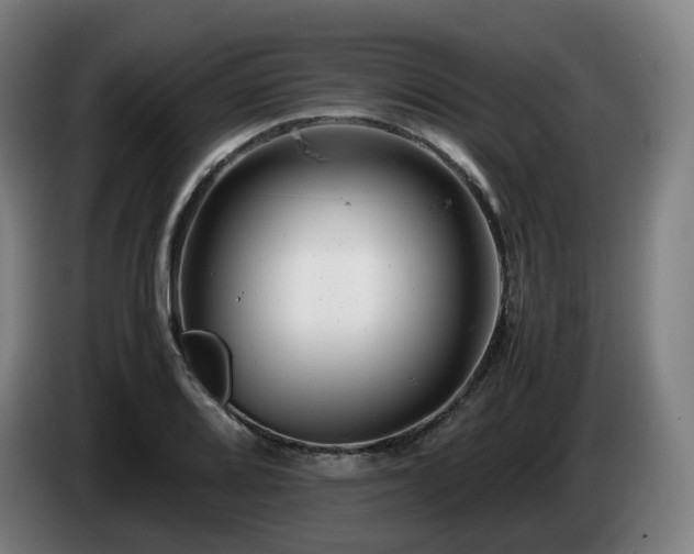 X0000085211080200703091134