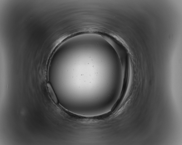 X0000085211081200703091134