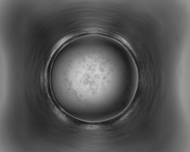 X0000085211082200703091134