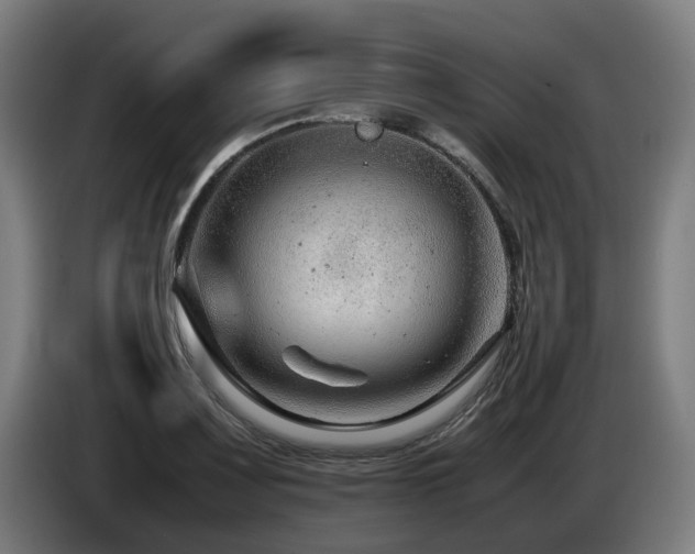 X0000085211083200703091134