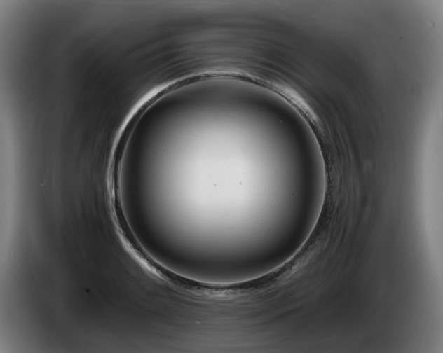X0000085211084200703091134