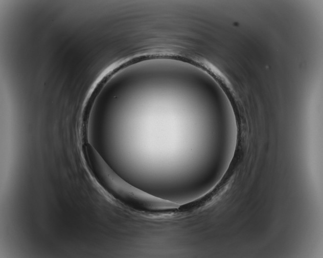 X0000085211085200703091134