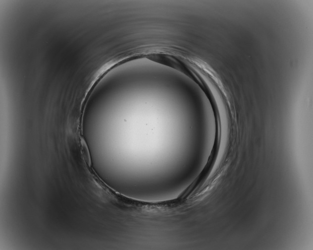 X0000085211089200703091134