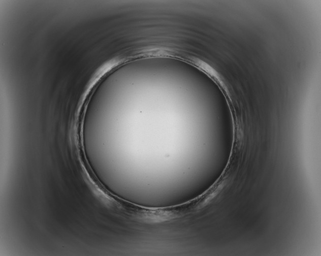X0000085211090200703091134