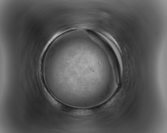 X0000085211091200703091133