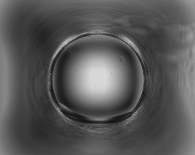 X0000085211093200703091133