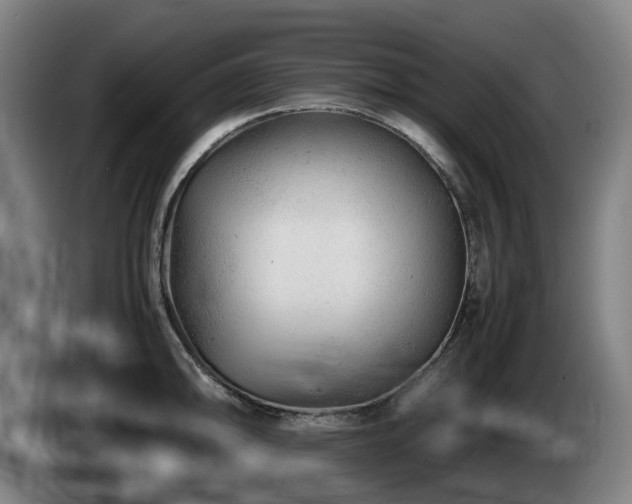 X0000085211094200703091133