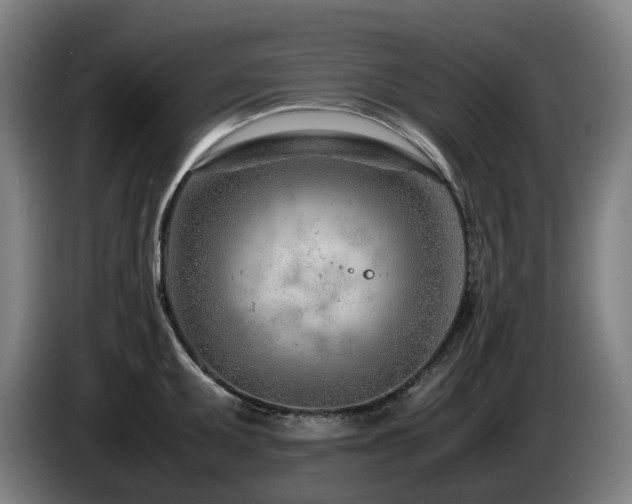 X0000085211095200703091133