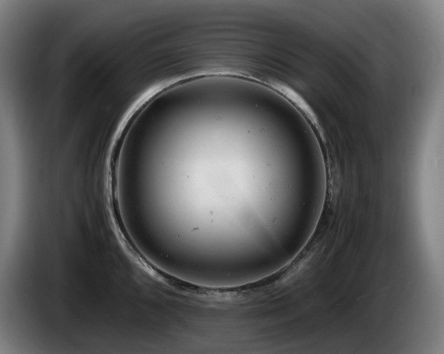 X0000085211096200703091133