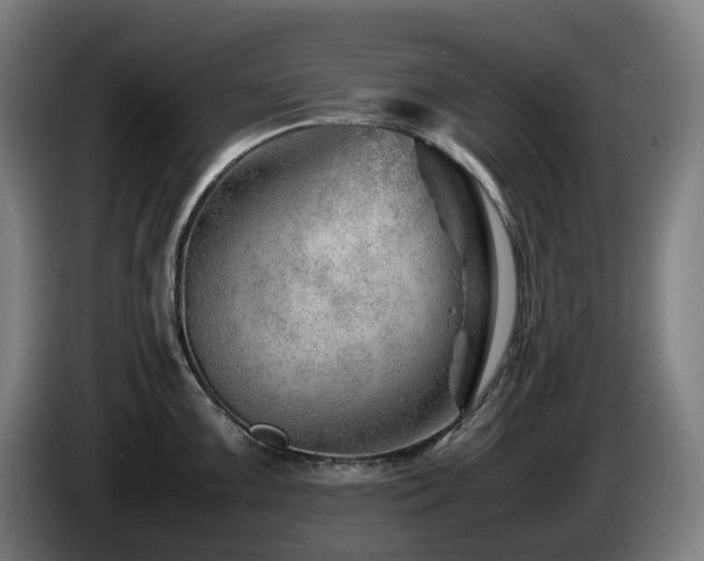 X0000085211099200703091133