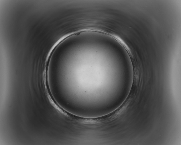 X0000085211100200703091133