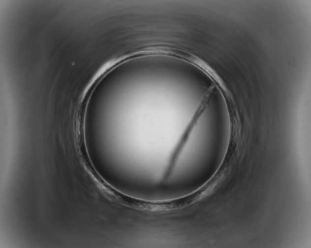X0000085211101200703091133