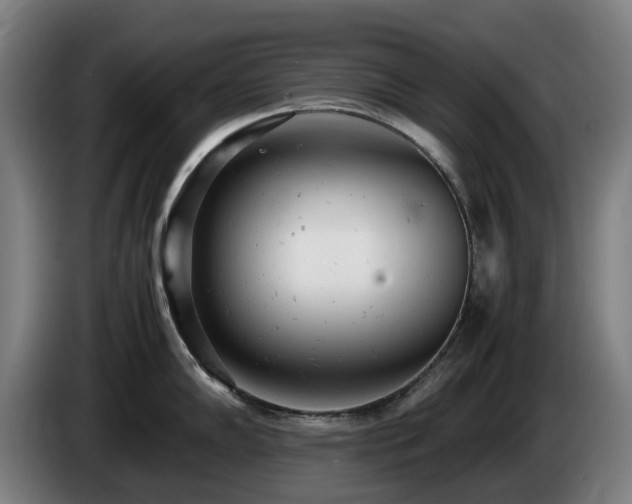 X0000085211102200703091133