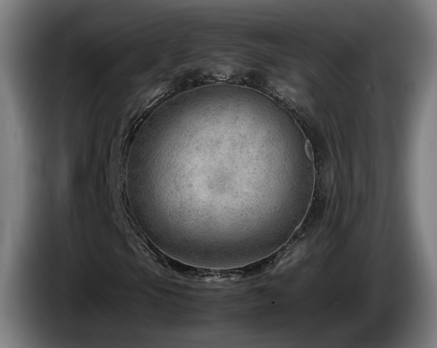 X0000085211105200703091133