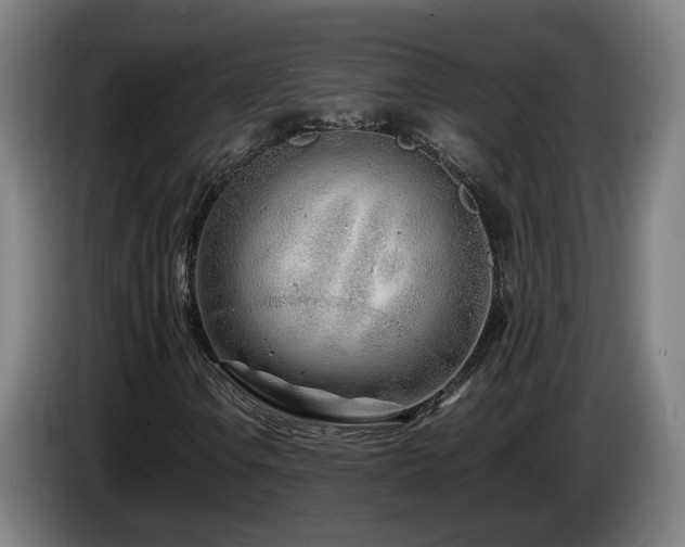 X0000085211106200703091133