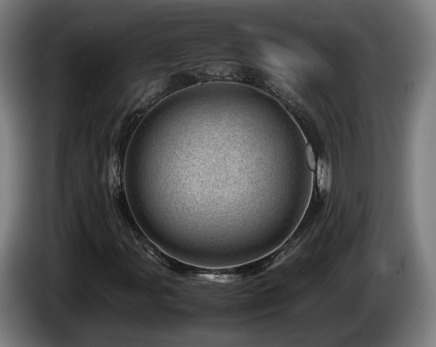 X0000085211107200703091133