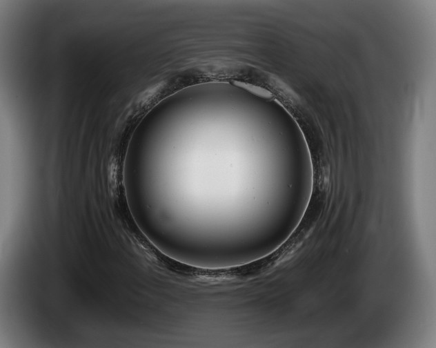 X0000085211108200703091133
