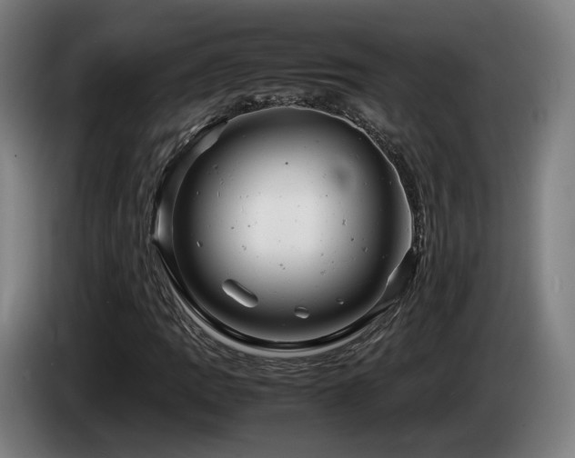 X0000085211109200703091133