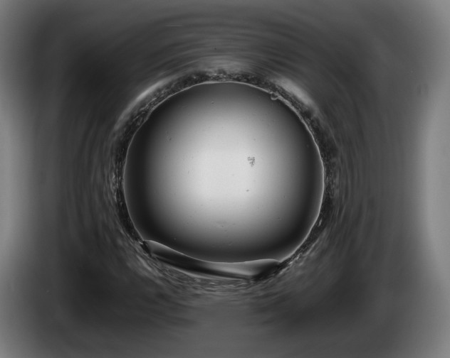 X0000085211112200703091133